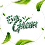 Ever Green